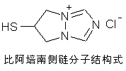 side chain for biapenem